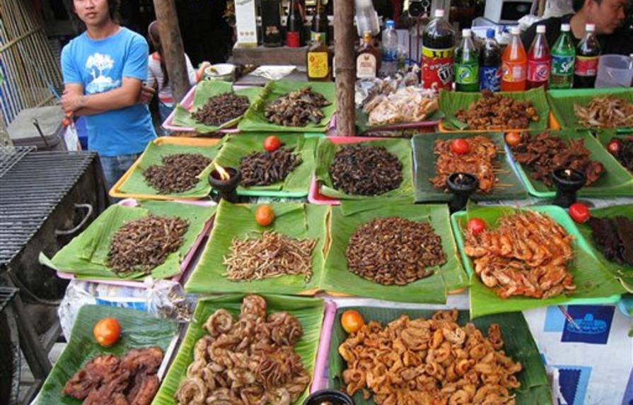 Consumir insectos es saludable para el ser humano: FAO
