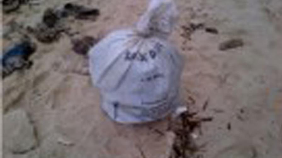 DNCD y DEA ocupan 31 paquetes de marihuana en Playa Cumayasa