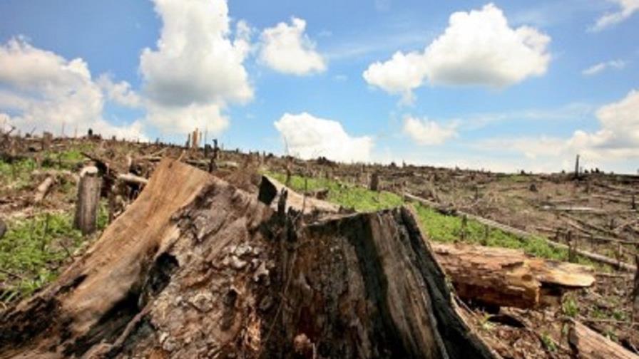 Denunciarán delitos ambientales en Nicaragua durante festival por Hispanidad