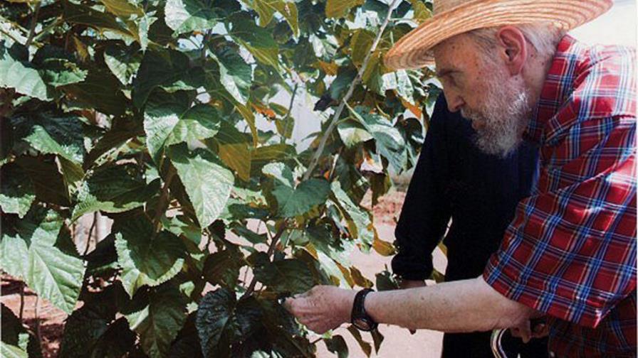 Fidel Castro elogia la inteligente iniciativa de Rusia en conflicto sirio Fidel Castro elogia la inteligente iniciativa de Rusia en conflicto sirio