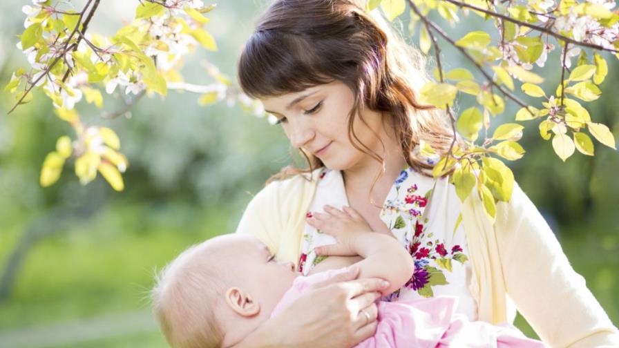 La lactancia, ¿otra arma contra el cáncer de mama? La lactancia, ¿otra arma contra el cáncer de mama?