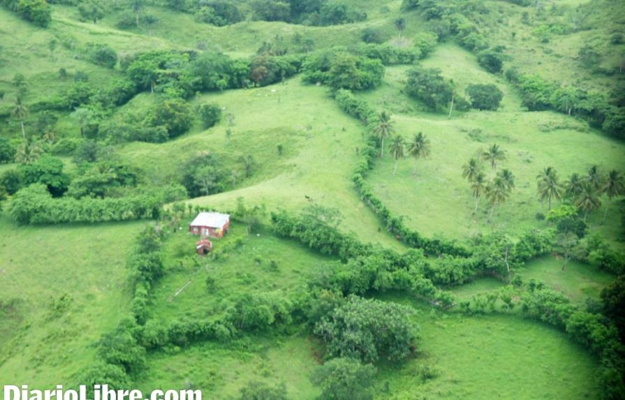 Danilo Medina ordena reubicar a las familias del Parque Nacional Los Haitises