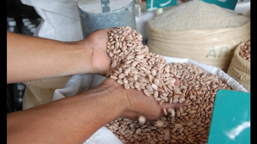 Comerciantes advierten que libra de habichuelas importadas podría costar RD$70