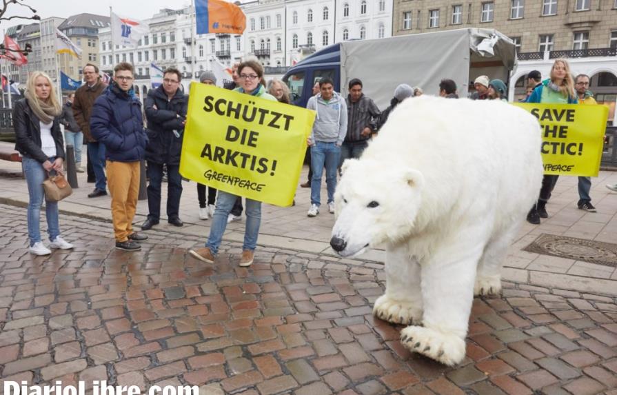 Dentro de un oso por la protesta
