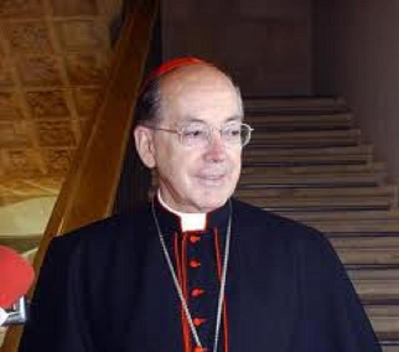 Cardenal peruano dice que no le gustaría ser Papa porque es muy duro