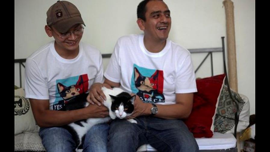 Un candi-gato a alcalde en México