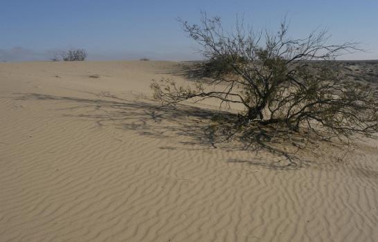 Nominan a reserva mexicana El Pinacate como Patrimonio Mundial de la Unesco