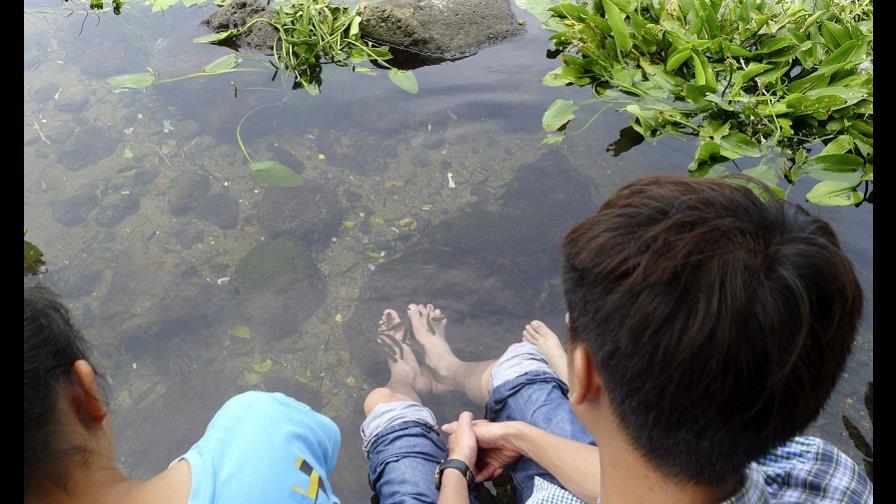 Jiuwentangcun, el manantial de la longevidad y de los peces médico Jiuwentangcun, el manantial de la longevidad y de los peces médico