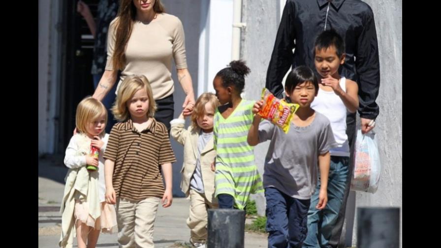 Brad y Angelina, vinateros