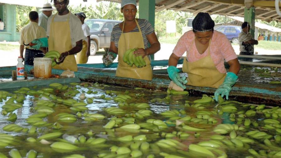 Exportaciones de RD son 33.8% de total intercambio comercial Exportaciones de RD son 33.8% de total intercambio comercial