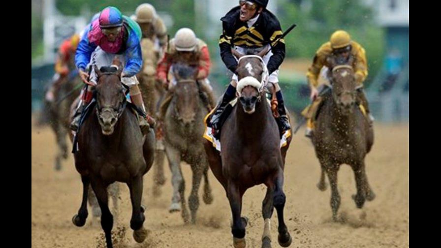 Oxbow sorprende a Orb al ganar Preakness