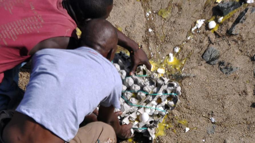 Danilo says he will adopt drastic measures over Haitian ban