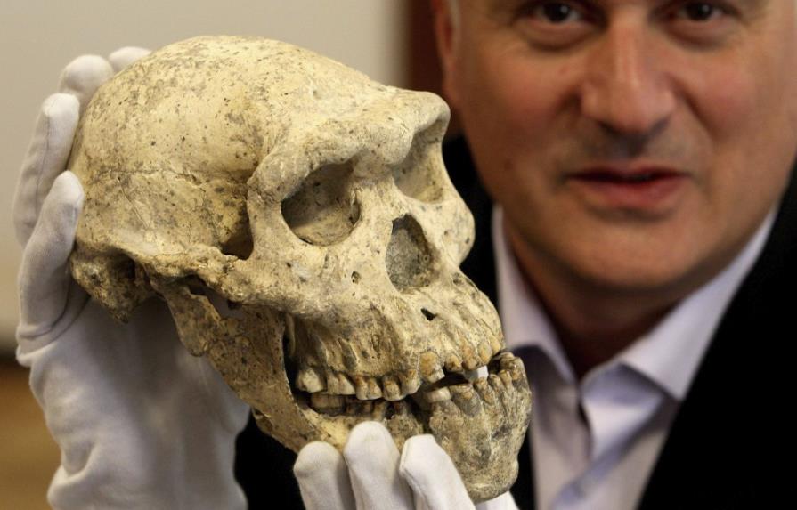 Cráneo de 1,8 millones de años pone en cuestión historia de evolución humana