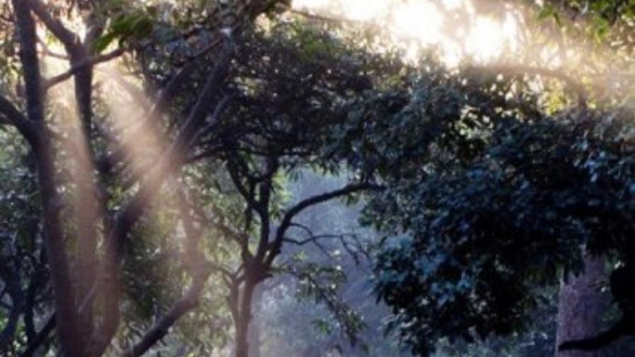 México pide el fortalecimiento del Programa de la ONU para el Medioambiente