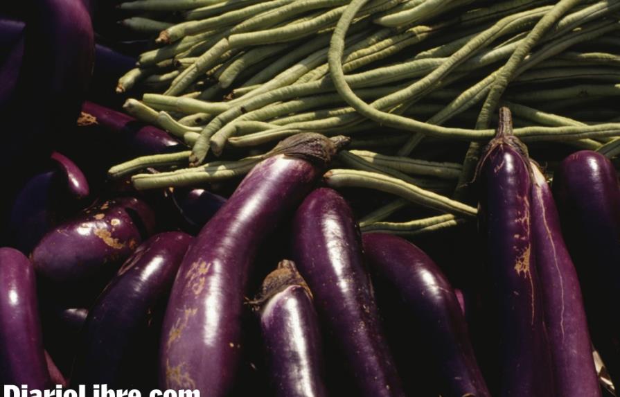 RD exportó US$98 millones de vegetales orientales en el 2012