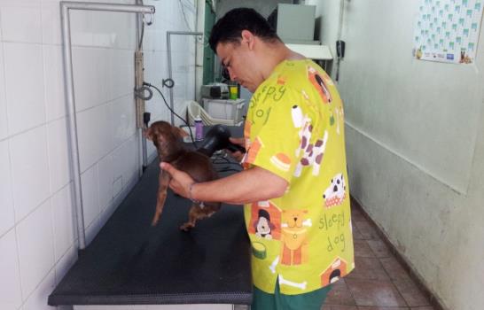 De vacunas a cementerio de mascotas en República Dominicana