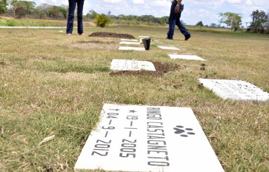 De vacunas a cementerio de mascotas en República Dominicana