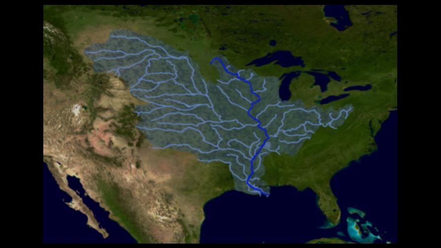 Zona muerta en Golfo de México podría superar 22,000 kilómetros cuadrados