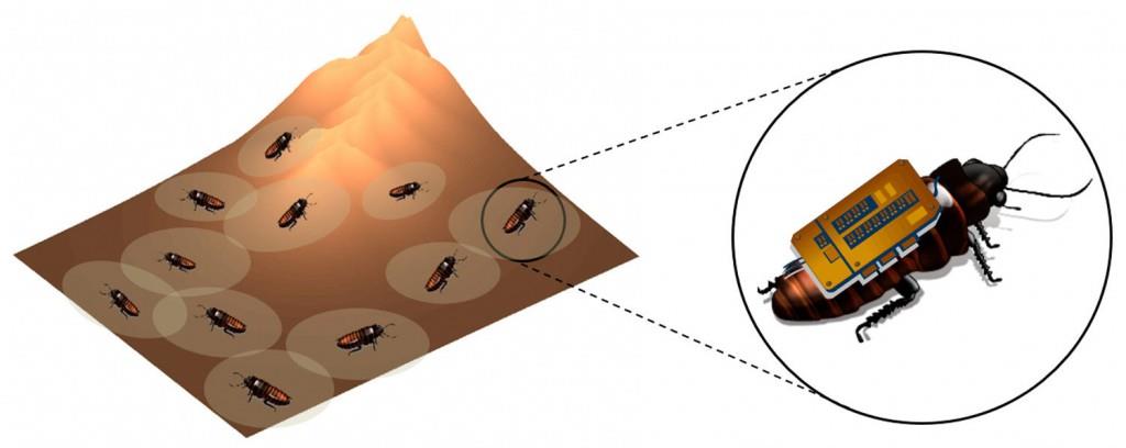 Desarrollan software utilizando insects robots para recabar información