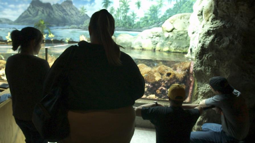 El impuesto a refrescos para combatir obesidad y diabetes divide a México