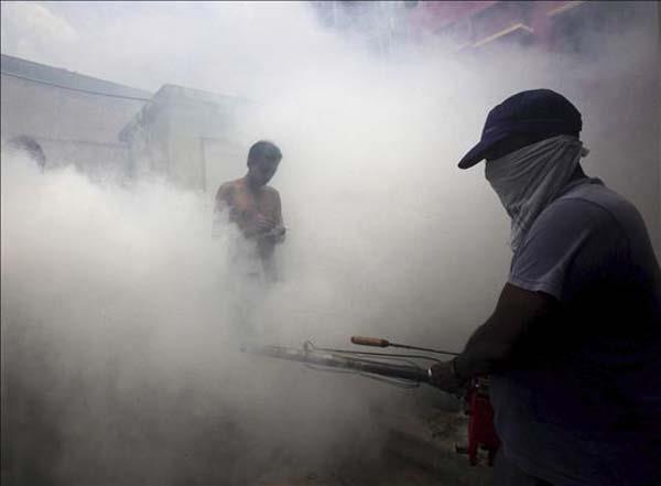El dengue pone en alerta ciudades brasileñas