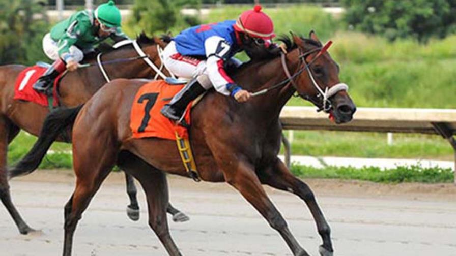 Las carreras de caballos... pronto