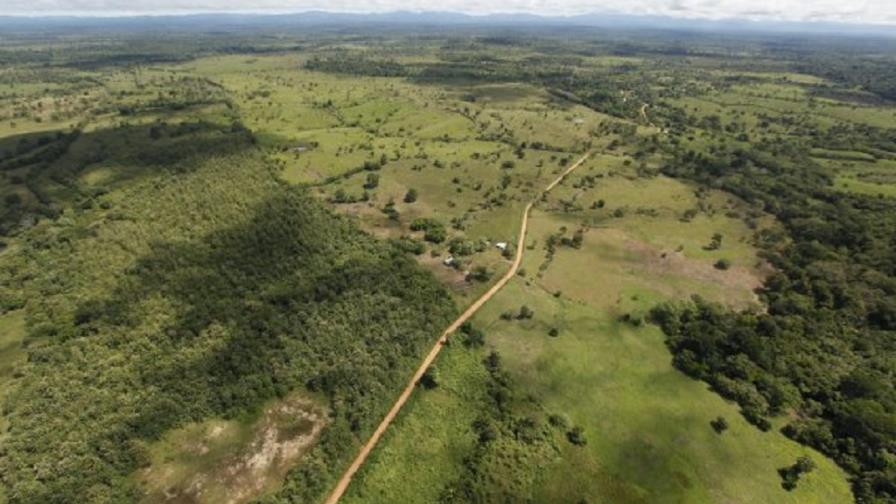 Científicos comprueban en Panamá el efecto esponja en bosques tropicales
