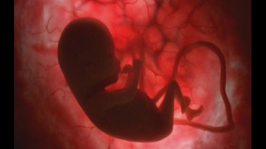 EE.UU. dividido sobre el derecho al aborto 40 años después de su legalización