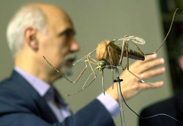Los mosquitos se vuelven tolerantes a los repelentes, según un estudio