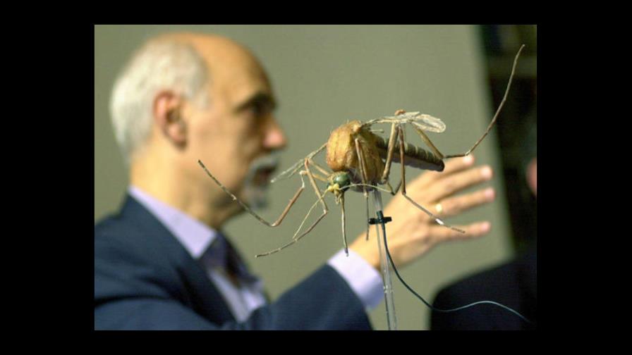 Los mosquitos se vuelven tolerantes a los repelentes, según un estudio