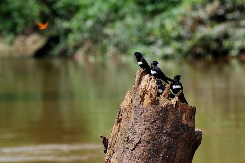 Alemania entrega casi 46 millones de dólares para proteger parque en Ecuador