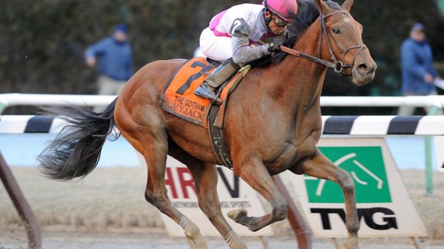 Joel Rosario, el jinete dominicano más caro Joel Rosario, el jinete dominicano más caro