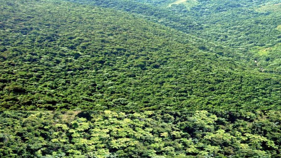 Los últimos años del siglo XX fueron los más cálidos de los últimos 1.400 Los últimos años del siglo XX fueron los más cálidos de los últimos 1.400