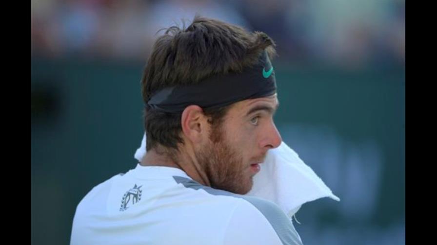 Juan Del Potro no jugará el Abierto de Francia
