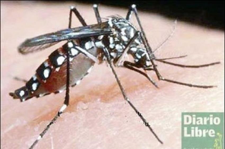Muere el cuarto niño de dengue en el Cibao en una semana