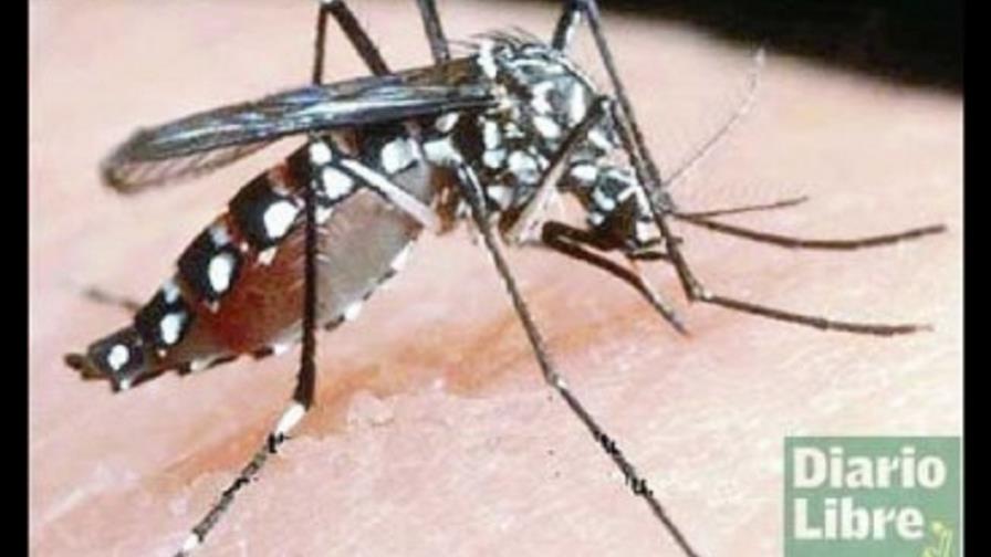 Muere el cuarto niño de dengue en el Cibao en una semana Muere el cuarto niño de dengue en el Cibao en una semana