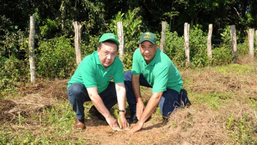 El voluntariado del Banco Cenral siembra en la presa de Rincón