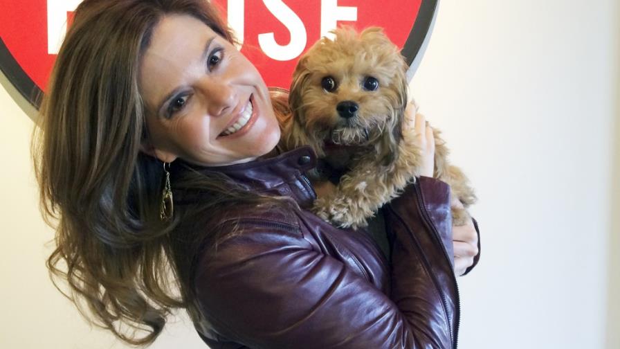 Crean perro que siempre parece cachorro