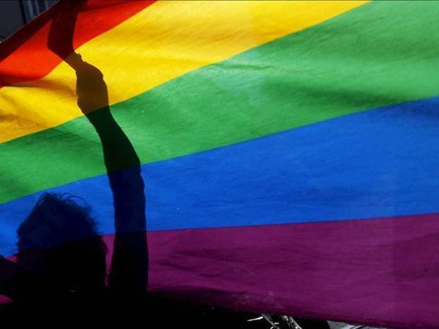 Centenar de diputados galos opuestos a bodas gays pide reunirse con Hollande