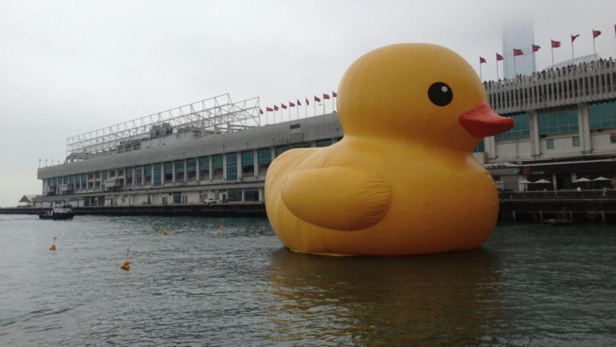 El pato flotante más grande El pato flotante más grande