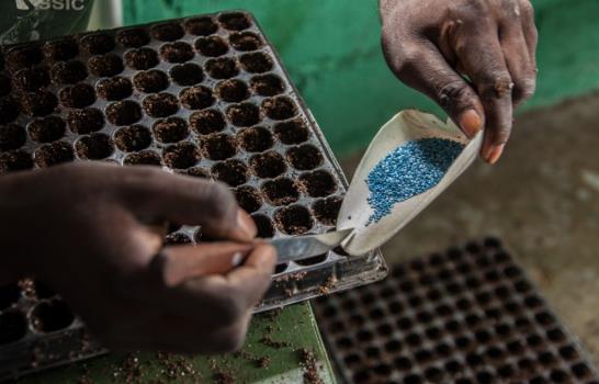 ¿Cómo se cultiva en un invernadero?