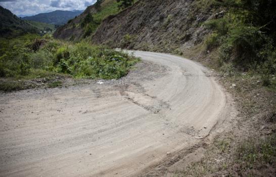 ¿Cómo se cultiva en un invernadero?