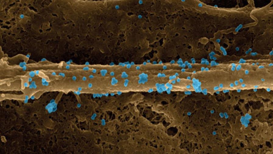 Hablando con el pediatra