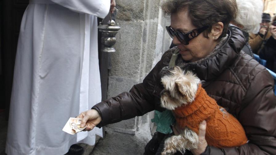 La dieta de los perros llevó a su domesticación, según estudio