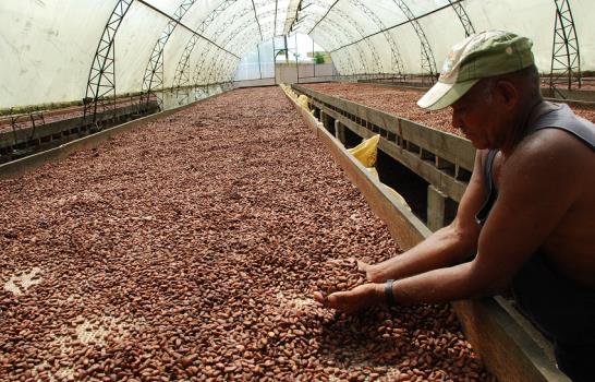 Agroexportadores favorecen encontrar otros mercados aparte de Haití