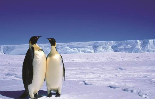 18 Cosas que nunca has hecho... y que definitivamente deberías probar