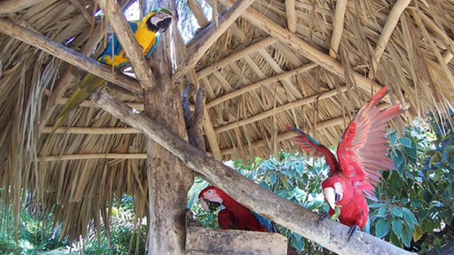 No cobrarán más el 4% de impuesto en Verón No cobrarán más el 4% de impuesto en Verón