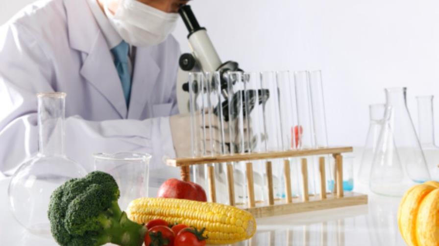 La cocina es la actividad más parecida a la ciencia