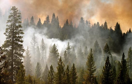 Histórico incendio forestal en California arrasa ya 60,000 hectáreas