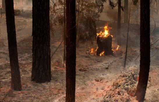 Histórico incendio forestal en California arrasa ya 60,000 hectáreas